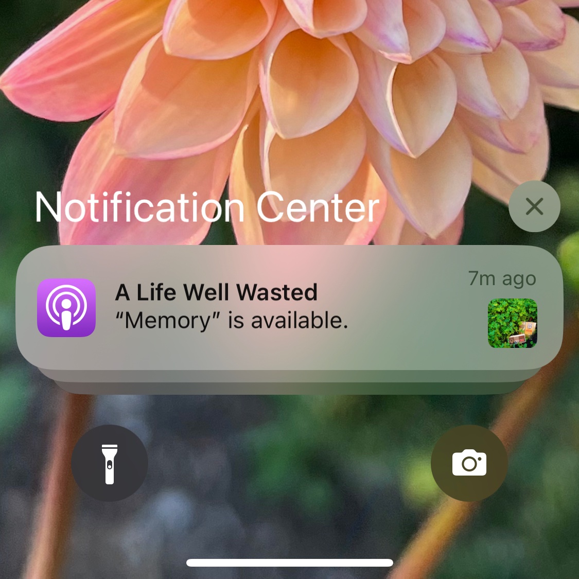 Andrew Kuhar tweet media