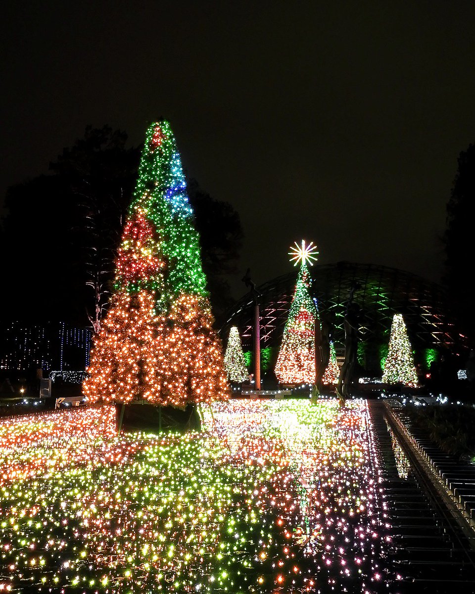 Get in the holiday spirit at <a href="/mobotgarden/">MO Botanical Garden</a>’s Garden Glow! 🎄With nearly 2 million dazzling lights, fun new experiences, &amp; traditional favorites, you don’t want to miss the beauty of the Garden this season. 🎅🏼

Get tix ➡️ glow.missouribotanicalgarden.org.

📸: Tom Incrocci