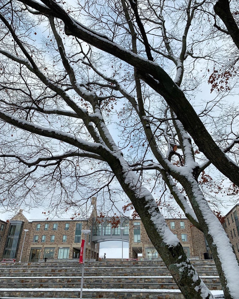 Celebrating the last day of fall classes & the start of #finals week with these ✨magical✨ snowy #SHUViews! You got this, Pioneers!❄️

📷1/3: Chris Escudero ’25
📷2/3: Tracy Deer-Mirek
📷3/3: Tracy Deer-Mirek