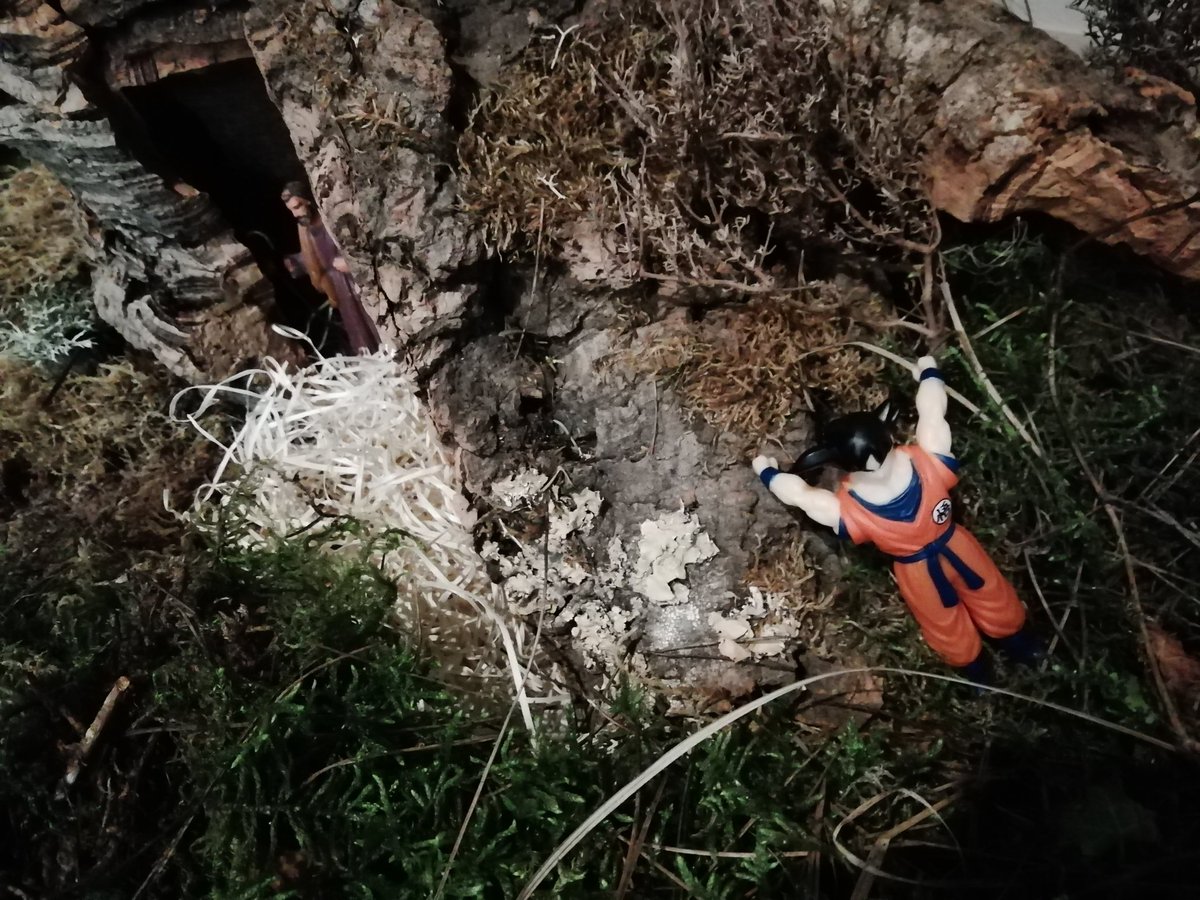 Poti-poti conceptual.