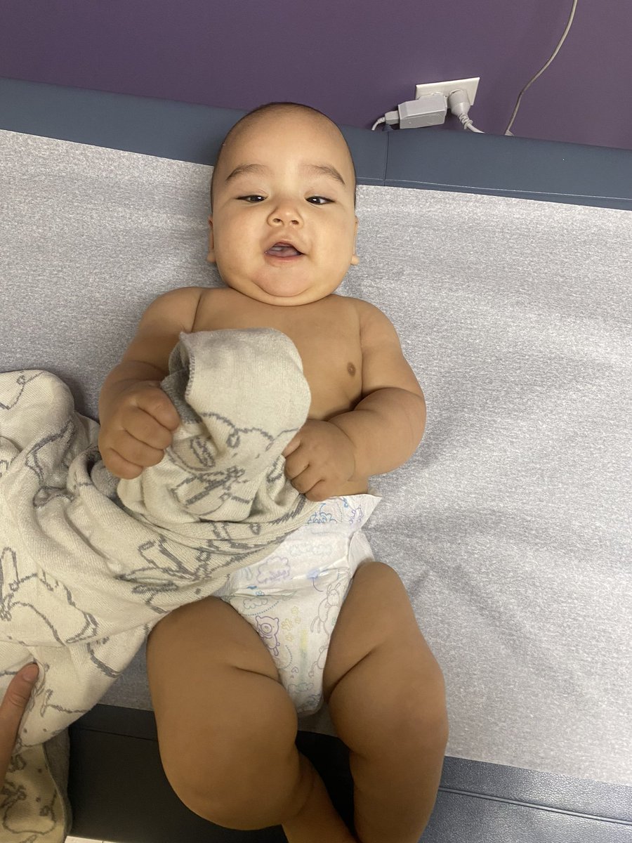 SueHappy3's tweet photo. Chunky, 6mnth appointment… here we see a 23 pounder. he is the weight and size of a normal holiday 🦃 or 🐖 (lechon) 😩👏👏👏 #healthyandblessed #mychunky #retro11s #KOTD 😂 https://t.co/C6kBuiToP9
