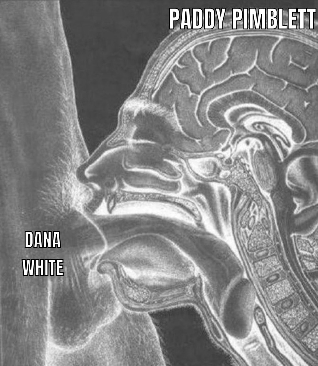 MMA Daily + MEMES tweet media