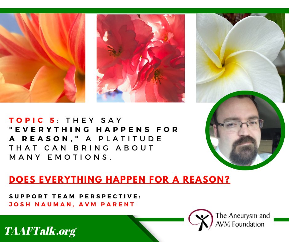 The Aneurysm and AVM Foundation (TAAF) tweet media