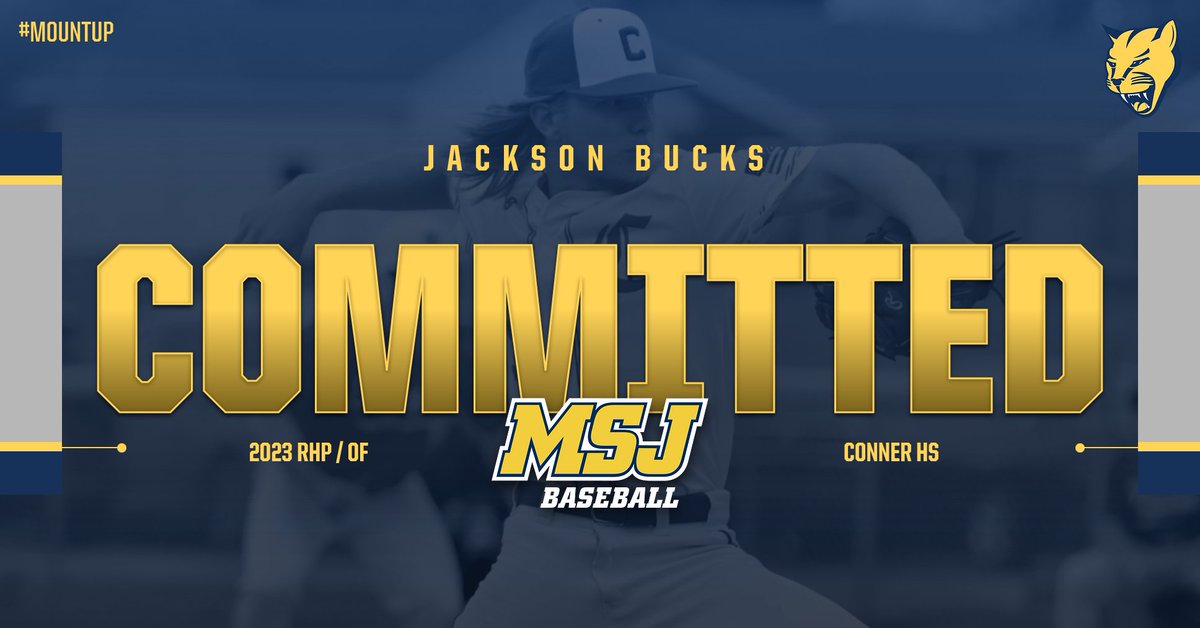 MSJ Baseball tweet media