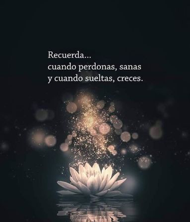 Suelta para que puedas crecer 🌳🌷