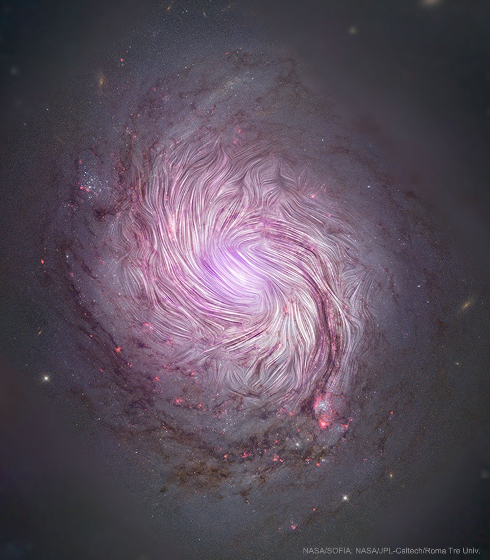 The Magnetic Fields of Spiral Galaxy M77
Image Credit: NASA, SOFIA, HAWC+; JPL-Caltech, Roma Tre. U.; ESA, Hubble, NuSTAR, SDSS
 Can magnetic fields help tell us how spiral galaxies form and evolve? To find out, the HAWC+ instrument on NASA's airborne (747) SOFIA observatory
