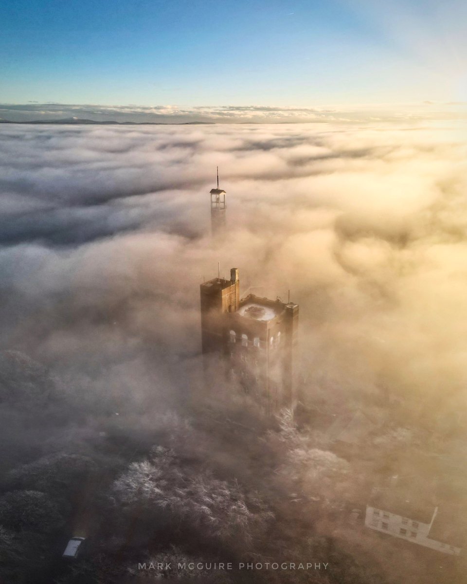 The Curragh of Kildare looking fabulous in todays freezing fog..