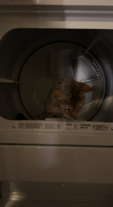 prince in the dryer https://t.co/03IZXm9zaF<a href="/tag/happybirthdaynicki"class="tags"><span>#happybirthdaynicki</span></a>
