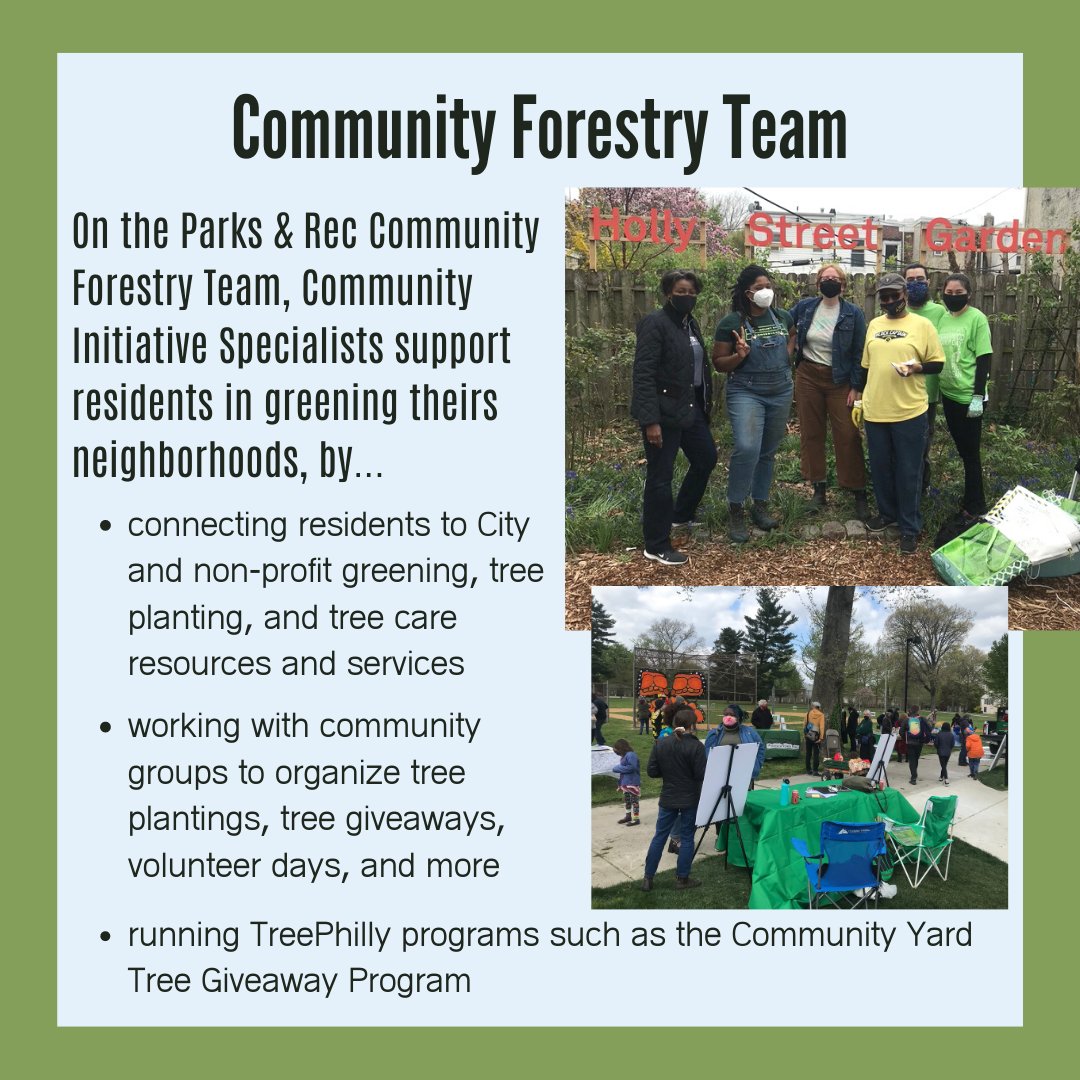 Tree Philly 🌲 tweet media