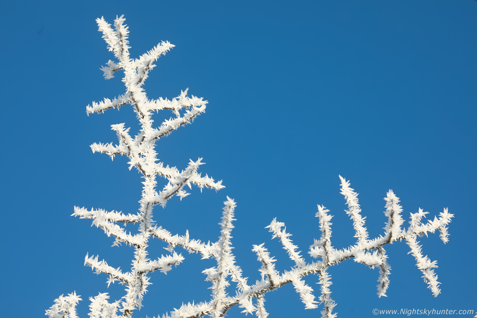 martinastro2005's tweet image. Hoar frost scenes from Co. Tyrone this morning nightskyhunter.com #hoarfrost #coldspell