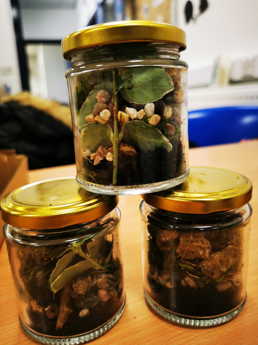 Durham Academy tweet media