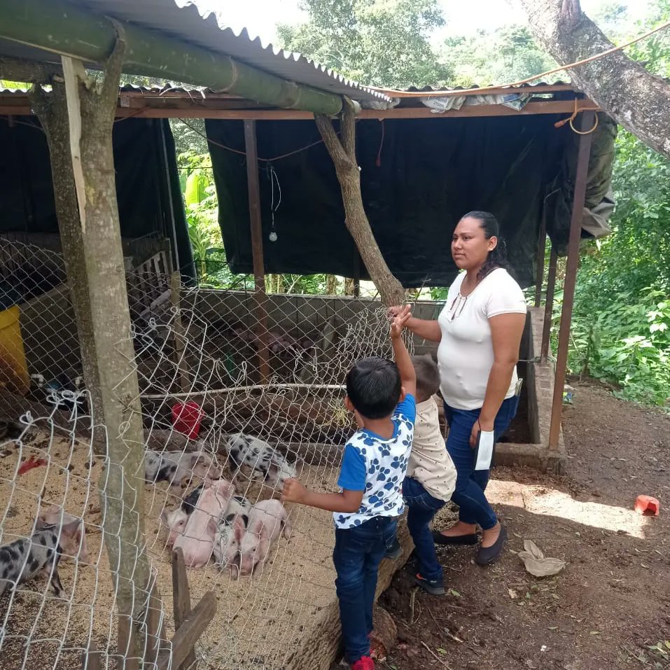 GranadaMefcca's tweet photo. #MEFCCAGranada brinda Visita y Asistencia técnica a la protagonista  Selene Muñoz, reproductora de cerdos 

#Diriá, comunidad los jirones 
#7645-3726 https://t.co/8hNUXj87xK