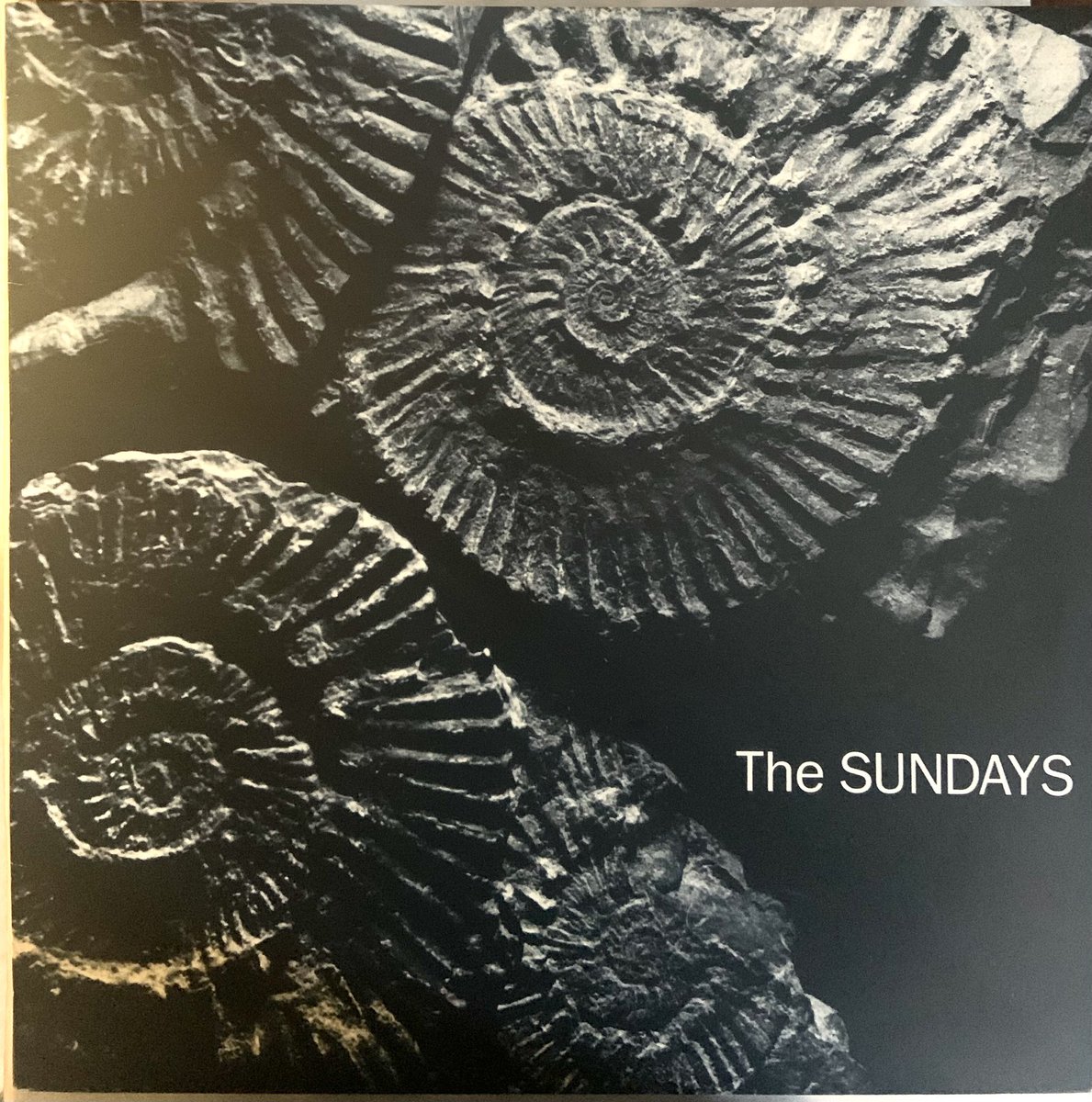 BernardZuel's tweet photo. In rhe jingle jangle morning. #morningpop #tuesdayvinyl #thesundays #readingwritingarithmetic #hereswherethestoryends https://t.co/OksH1mUGPJ