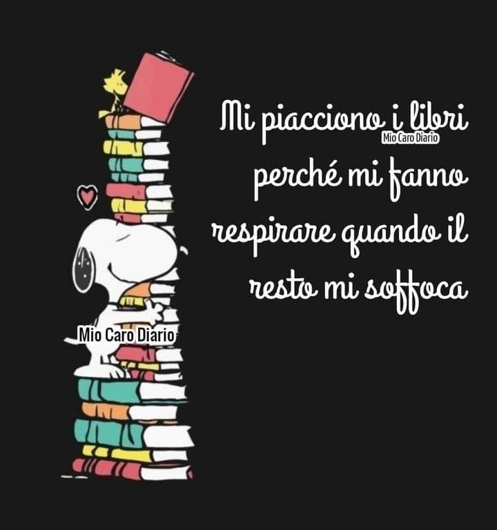 Buonanotte ✨️