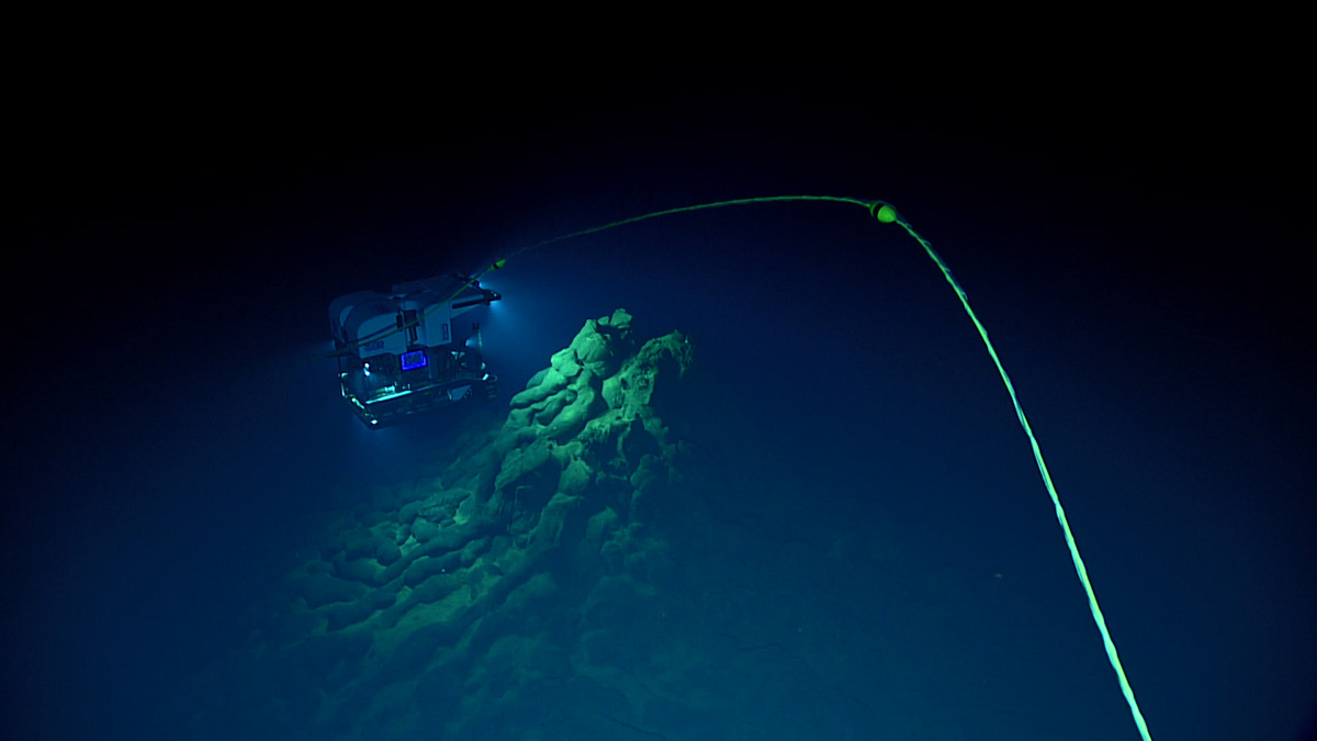 AGU (American Geophysical Union) (@theagu) on Twitter photo In 2016, <a href="/oceanexplorer/">NOAA Ocean Exploration</a> ROV #Okeanos explored the #midwater biome. An analyses of midwater biodiversity from that dive will be presented at #AGU22. See Isabel Moyer’s talk @ Tues 3 pm CST to learn more: fal.cn/3un7H In 2016, <a href="/oceanexplorer/">NOAA Ocean Exploration</a> ROV #Okeanos explored the #midwater biome. An analyses of midwater biodiversity from that dive will be presented at #AGU22. See Isabel Moyer’s talk @ Tues 3 pm CST to learn more: fal.cn/3un7H