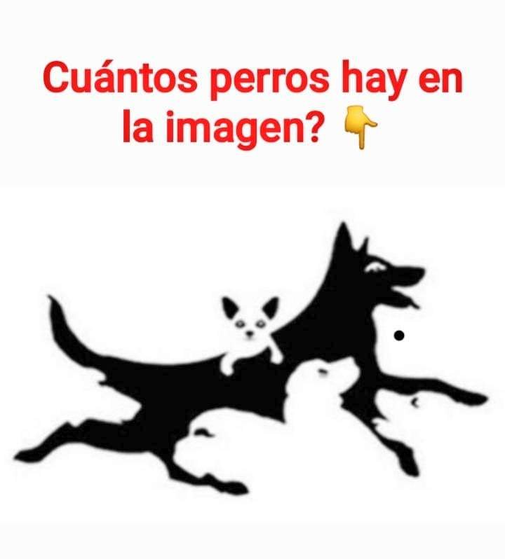 Reto visual vía <a href="/gcerveravalee/">Gaby Cervera Valeé</a>