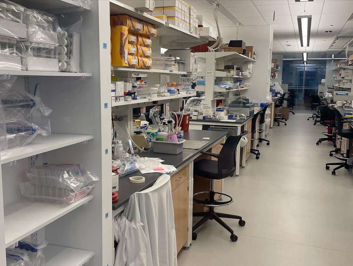 THIS IS WHERE YOUR $$ GOES!

GraceGiving had a tour of the new offices & lab space from Dr. Heimberger to see lab processes, moving tumors into storage, demos, & talk of recent trials that lead to findings & breakthroughs.
 
#fullofgrace #braincancerresearch