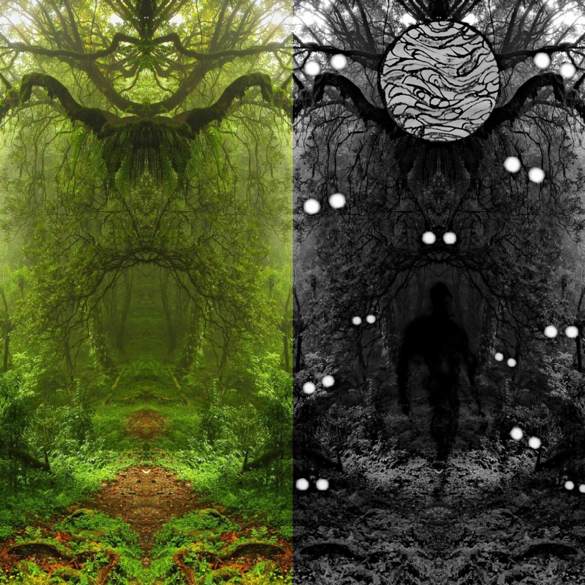 kyle 999 🌎☄️💕® tweet media