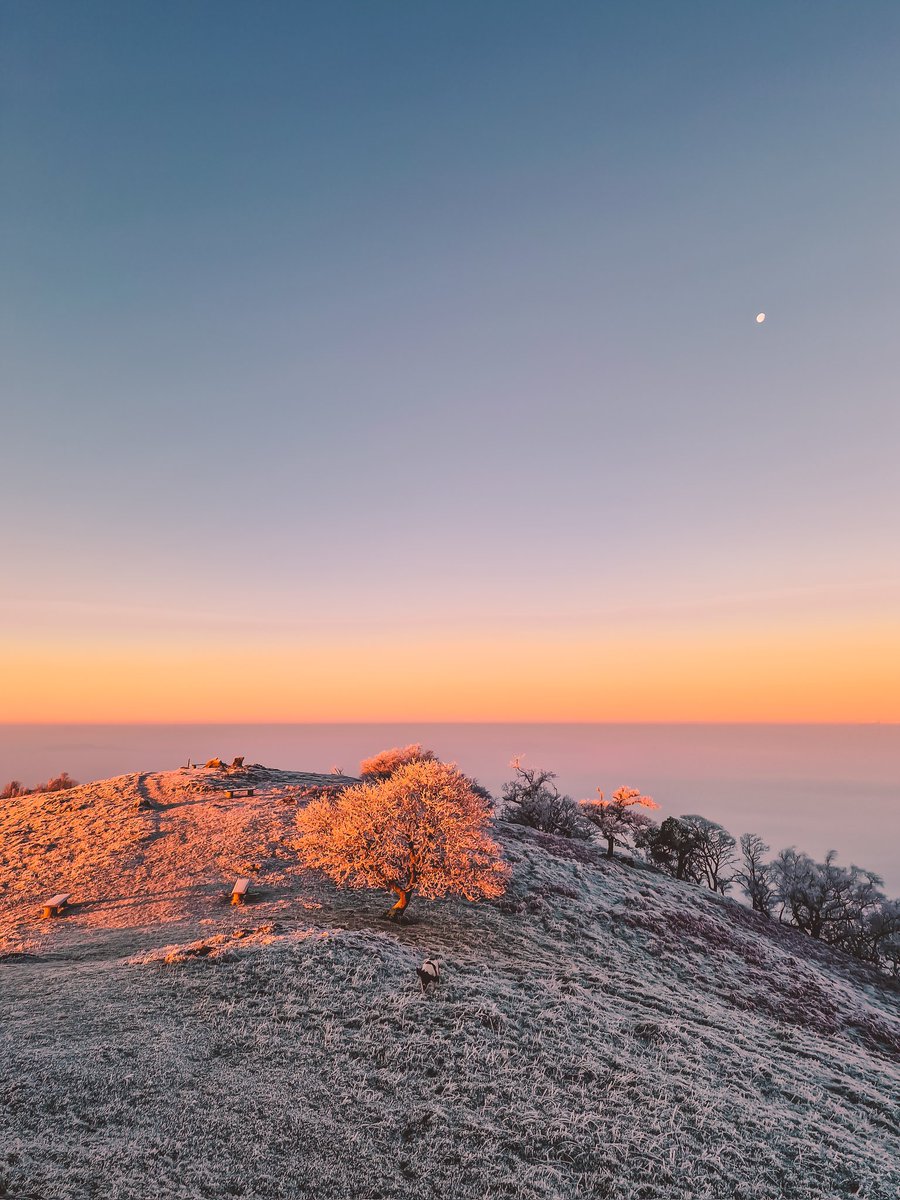 heleddowen's tweet photo. Nothing quite like being separated from the rest of the world by a blanket of thick fog, and being on the right side of it 🌞 https://t.co/T8qm8fAHM6