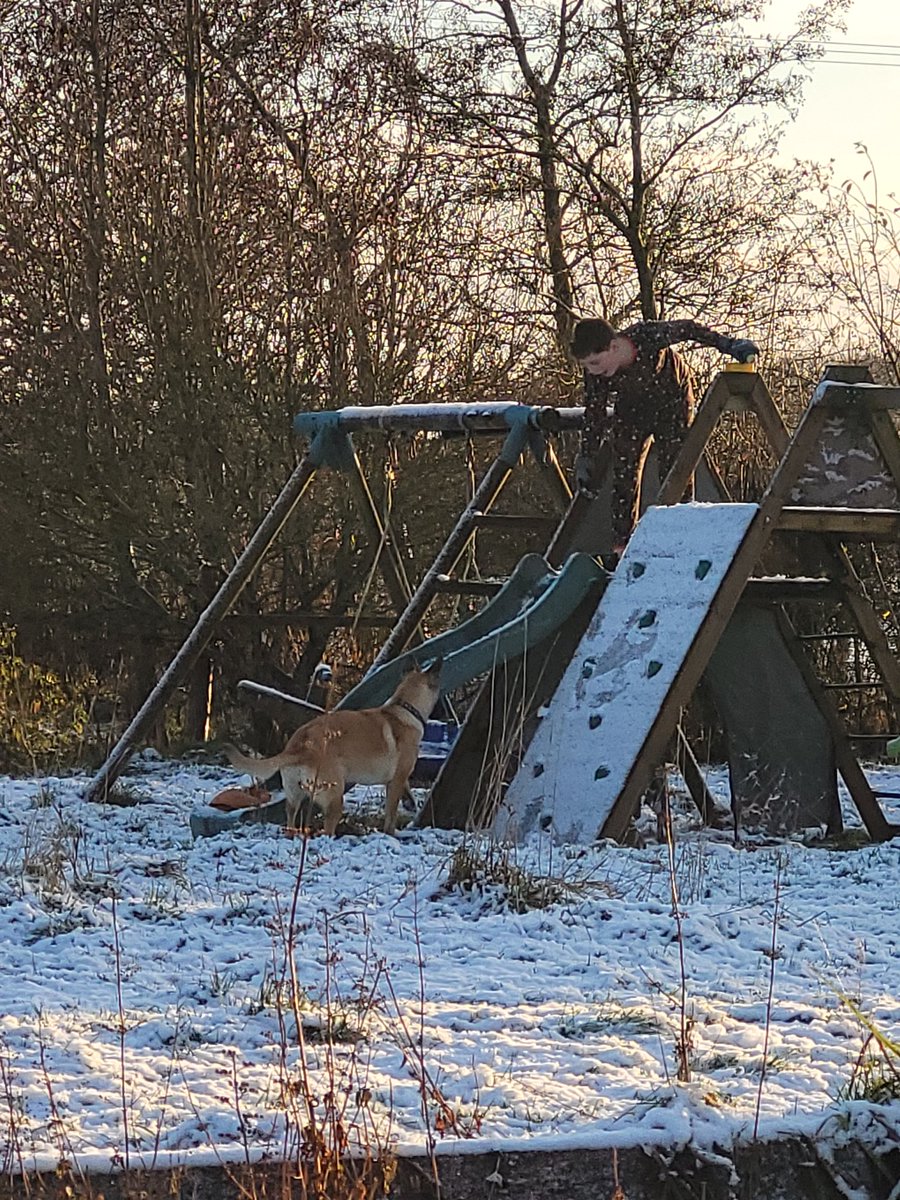 StoneT45066802's tweet photo. #PLUMWINTERCHALLENGE @plumplayUK #lifeAtPlay #snow #Scotland #fun #ChristmasPjs
#hotchocolate #Mallinois #allYouCanEatBuffetOfIce #bestXMASdecoration #snowballs #slide #BoyAndDog https://t.co/FatKMeMSQk