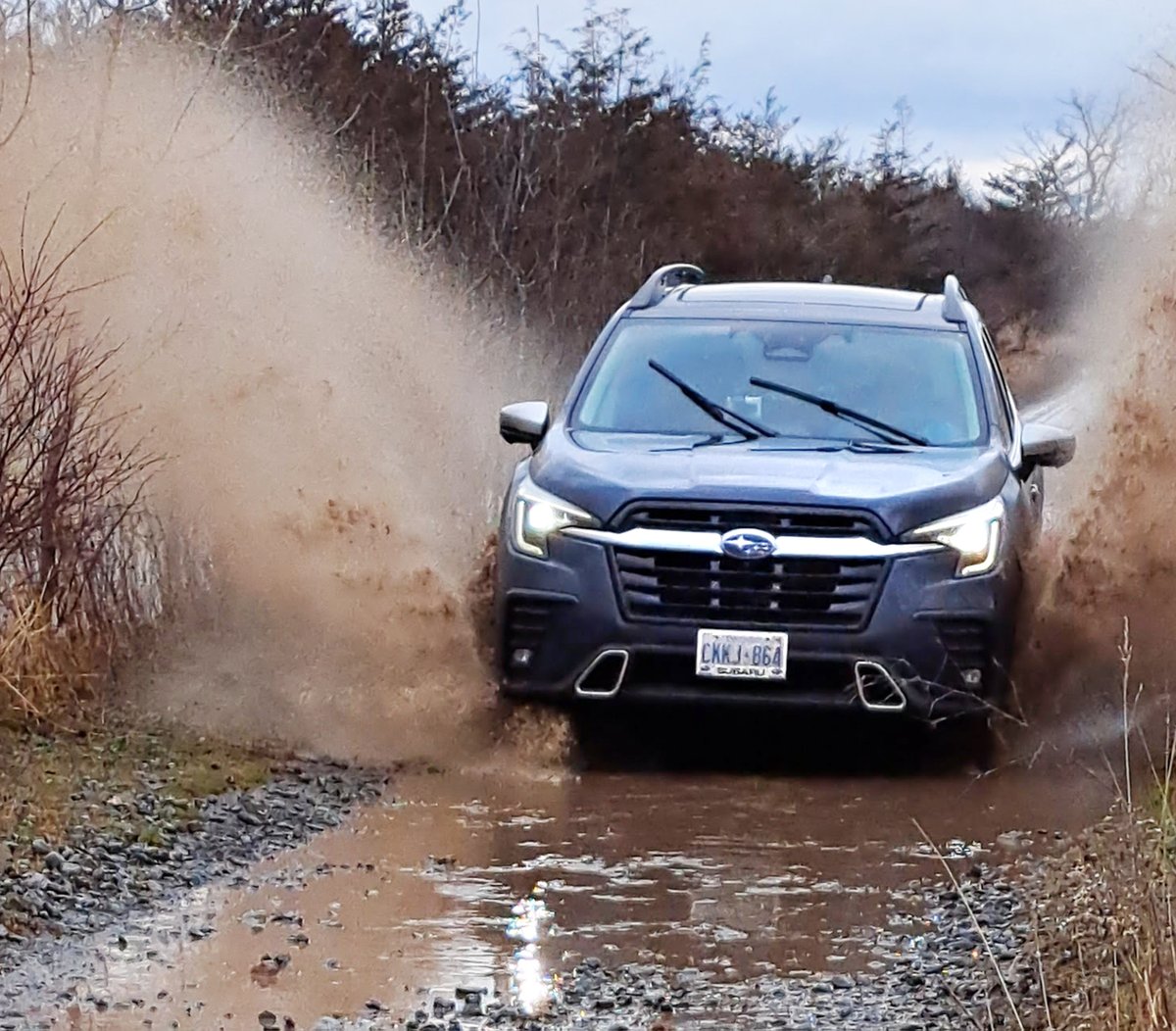 Rob Beintema tweet media