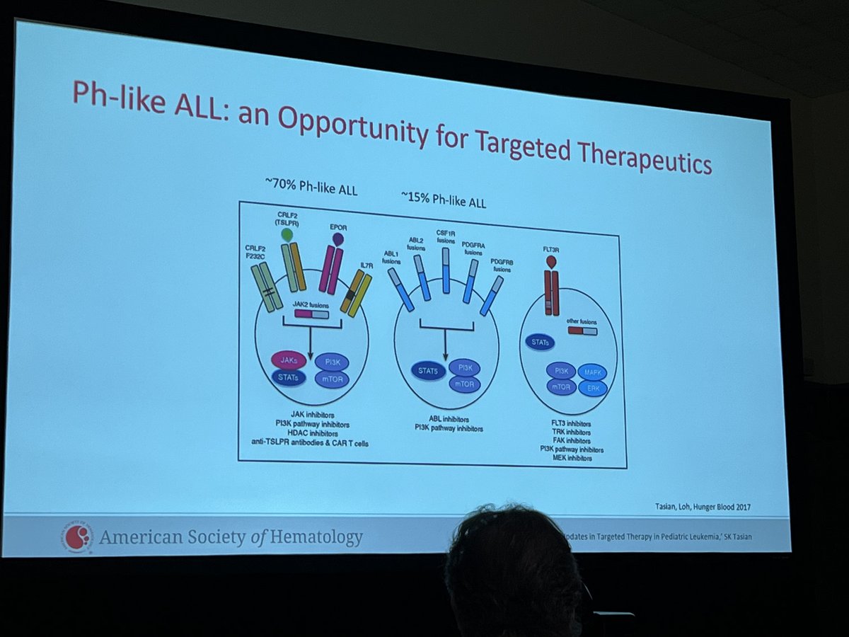 Happening Now: Dr. Sarah Tasian chairing and speaking in an #ASH22 Education Session related to updates in targeted therapy in pediatric leukemia and clinical screening for Ph-like ALL and developing role of TKIs.