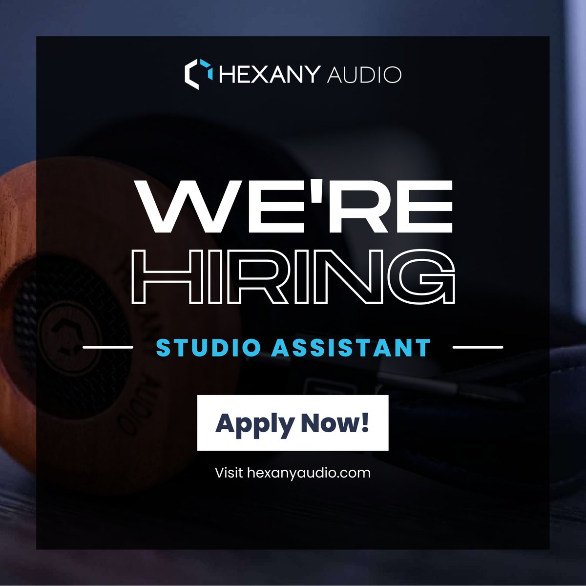 Interested in pursuing a career in sound design for games? Check out our Studio Assistant position at <a href="/HexanyAudio/">Hexany Audio</a>! Apply &amp; get more info at hexanyaudio.com. #gameaudio #sounddesign