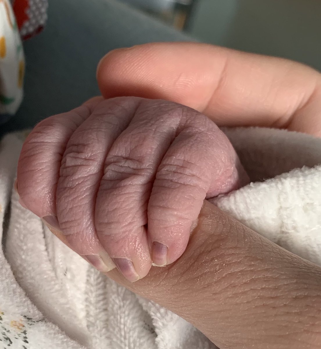 Totay_'s tweet image. Notre fille est née ce dimanche 11 décembre 2022 🥰 

Trop heureux ❤️ @Noereau