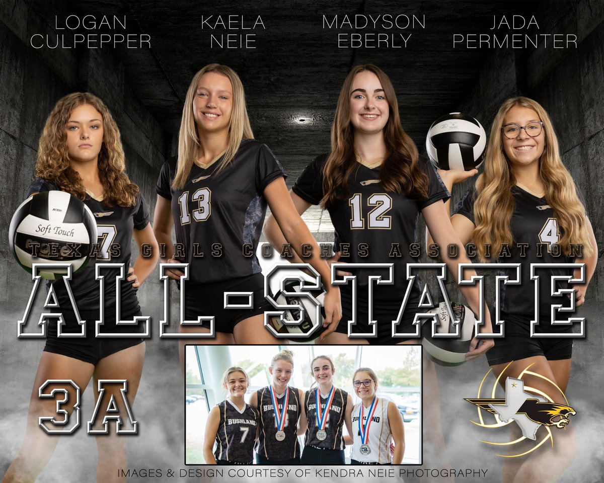 BushlandVolleyball tweet media