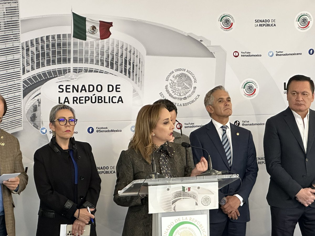 Claudia Ruiz Massieu tweet media