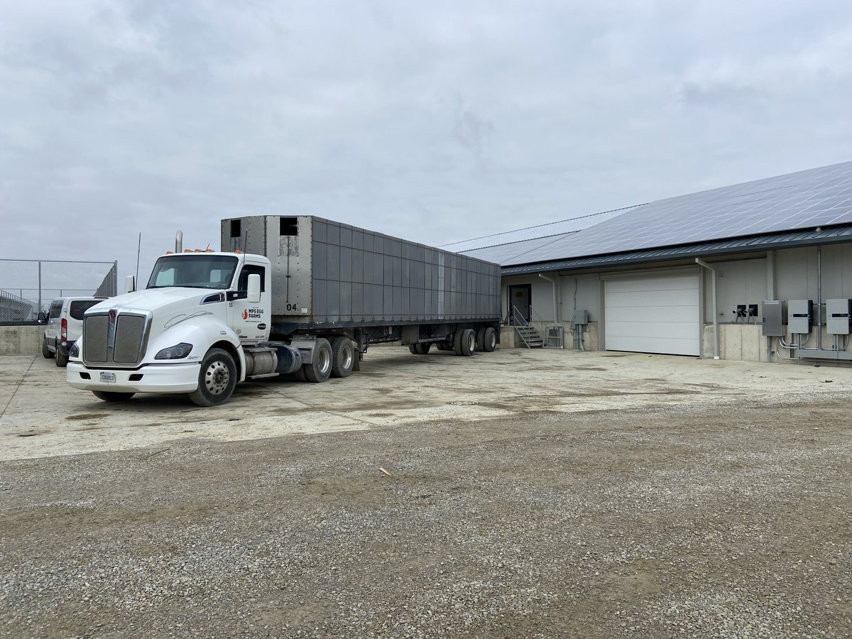 kipsterfarm's tweet photo. Hens have arrived at @Kipster 2 from the pullet farm this morning. After a week or two of adjustment to their new home, they can start exploring the indoor garden. #animalwelfare #carbonneutraleggs #eggs #MPSeggfarms https://t.co/2U6GPcKgNR