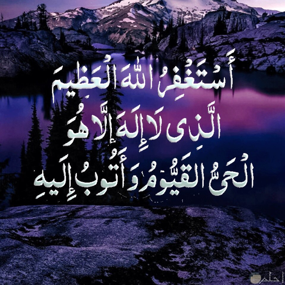 ساره (@sarasaman8) on Twitter photo 