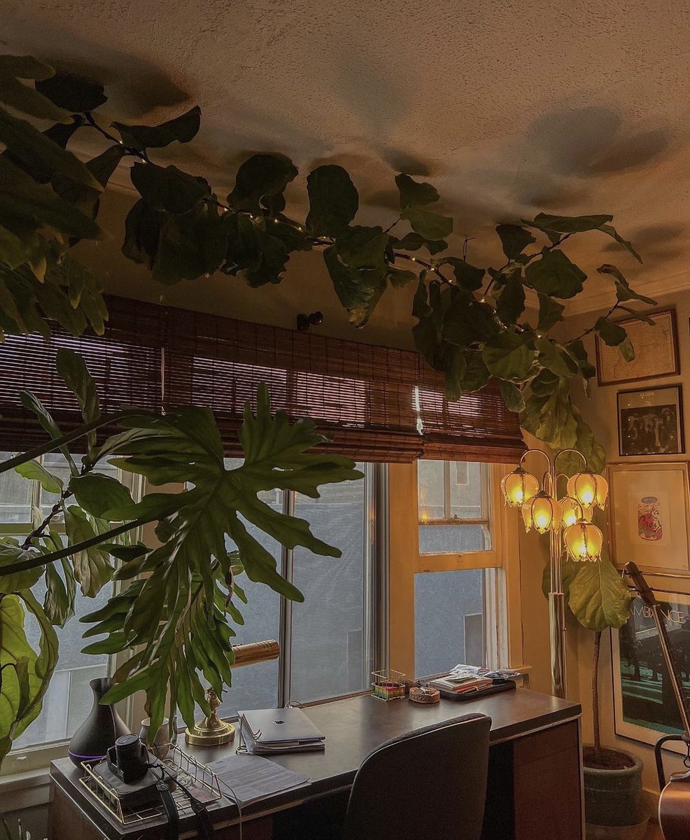 HighboyLA's tweet image. fully setup over here 👌🏼