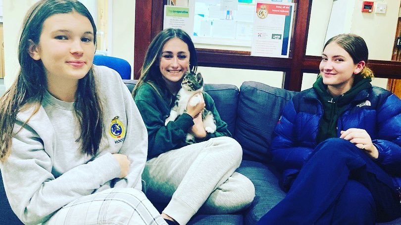 RHS_Nelson's tweet photo. Our wonderful Nelsonites continue to bring joy and kindness to our daily lives. They have also welcomed our newest addition, Billy, with love and cuddles! Weβre looking forward to celebrating the festivities with you all this week!! ππ
πΌπβ€οΈ #PartofRHS #RHScommunity https://t.co/036D7N6UJP