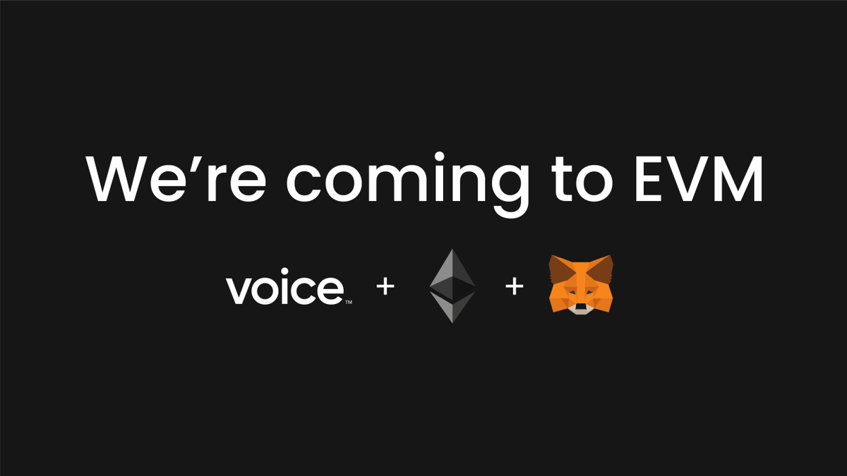 Voice tweet media