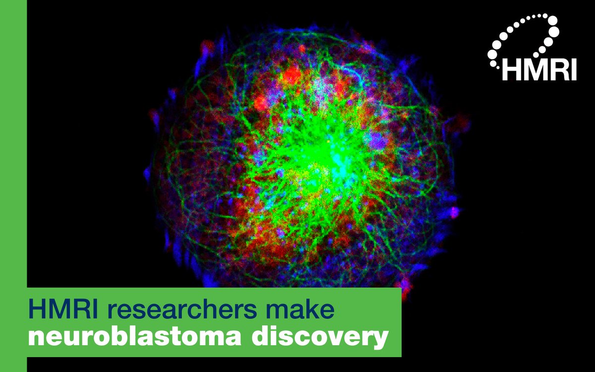 HMRIAustralia's tweet image. Researcher @XuDongZhang15 and his team from the #HMRI_CancerDetectionAndTherapy Research Program have discovered a way to combat a form of cancer most common in children under five – #neuroblastoma.  
Read more 👉 bit.ly/HMRI_nb