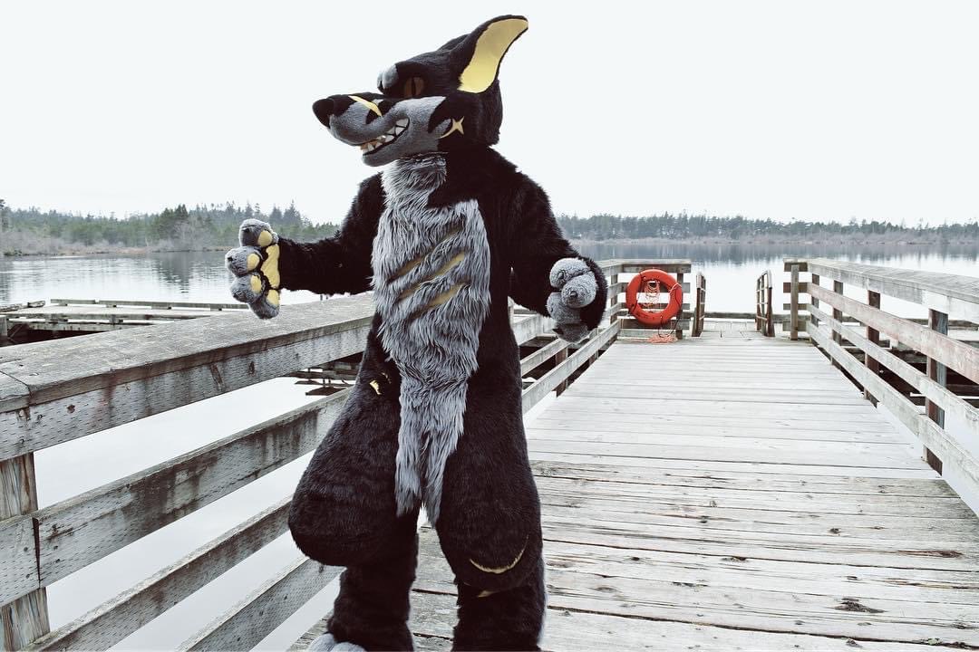 Twilight_Saint's tweet photo. Give it all you got, then give it some more. There’s nothing that can tear you down. 🦈
#barkshark #furry #furries #fursuit #fursuits https://t.co/ZP6sSvjc5Y