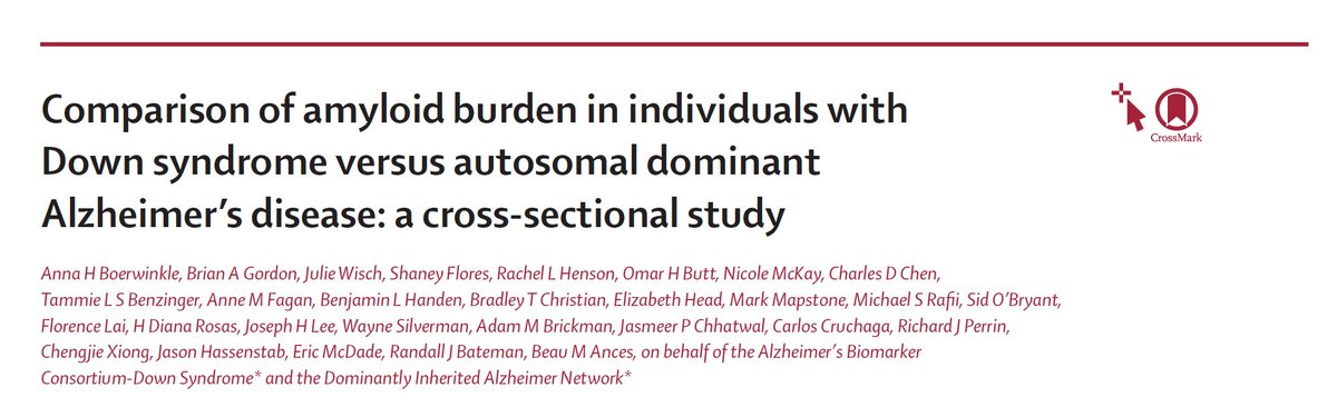 Ances BioImaging Laboratory tweet media