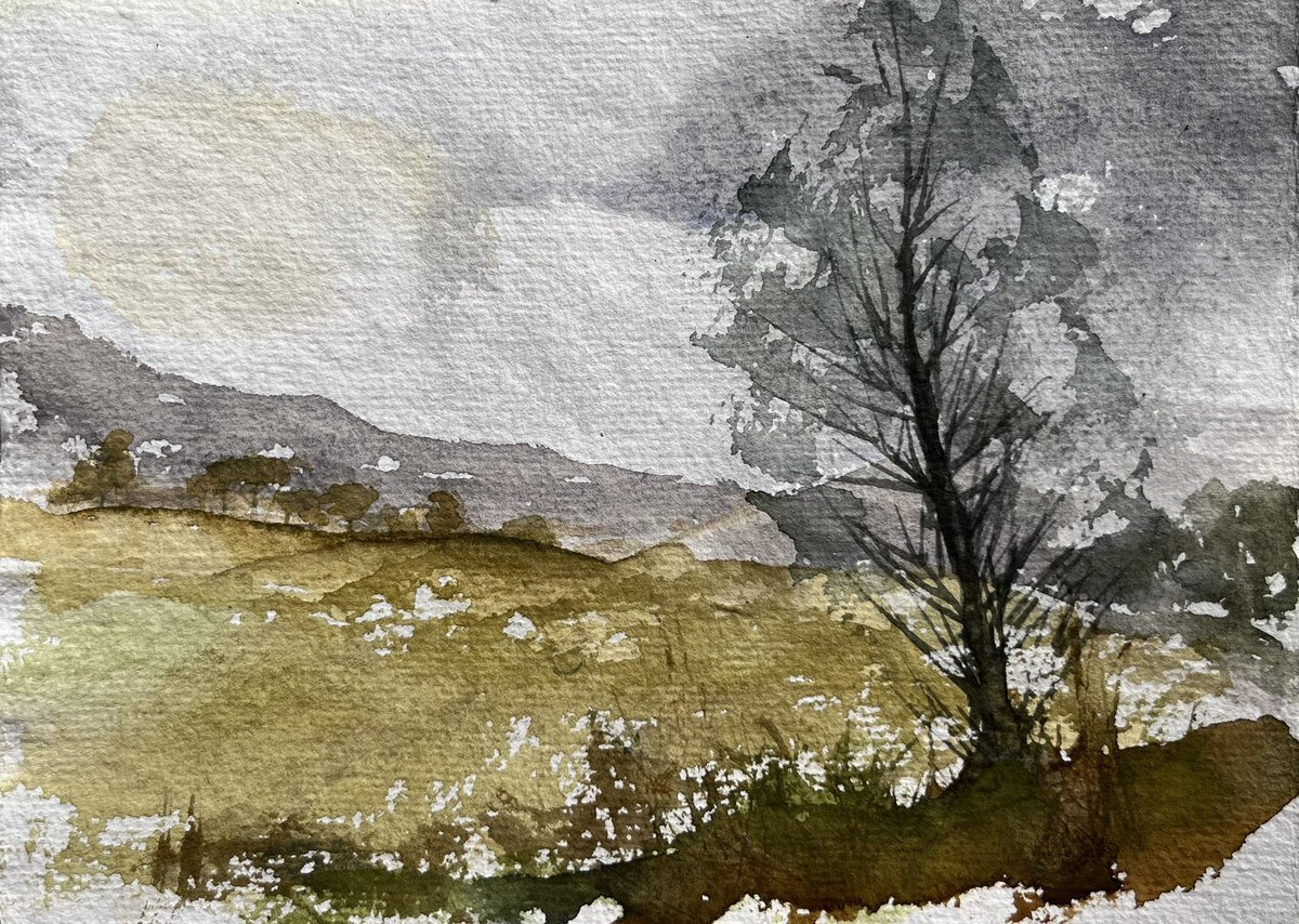 Todays watercolour doodles #doodles #watercolourpainting #watercolour #leedsartist #abstractlandscapes #nature #sketch