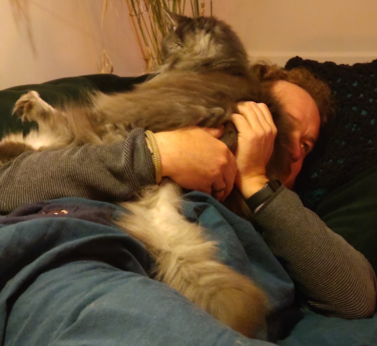 MissDuQueen's tweet photo. @Zwarte_Magica Ik heb er ook zo één. https://t.co/Ux4zctT3hX