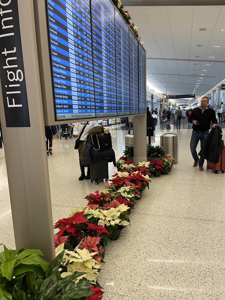 SaltLakeCityAirport on Twitter "If there was a NationalPoinsettiaDay