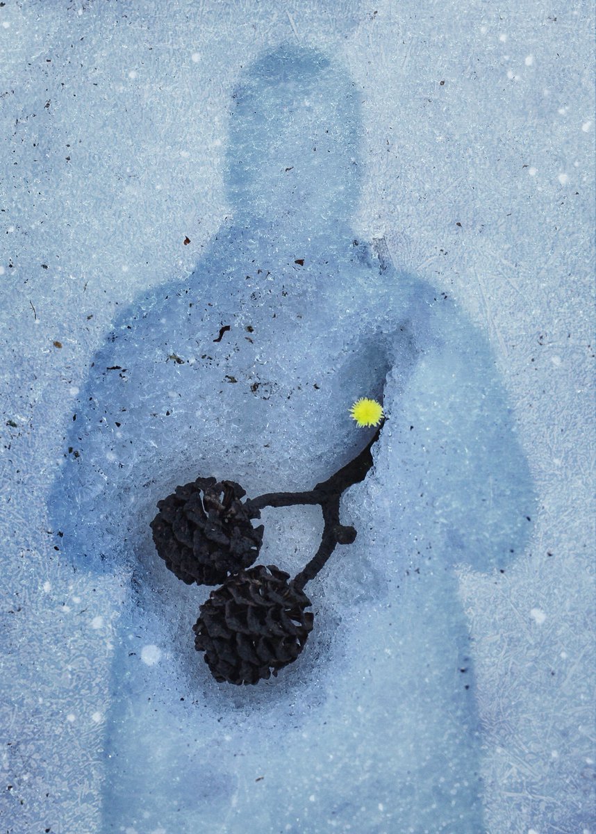 Sallysharifi's tweet photo. "Cold as Ice" is on sale for 3 #xtz
32/33 are available on @objktcom
#teztunas #tezos #tezoscommiunity
#selfportrait #ice #winter #tezember https://t.co/HwoRwXhhDF