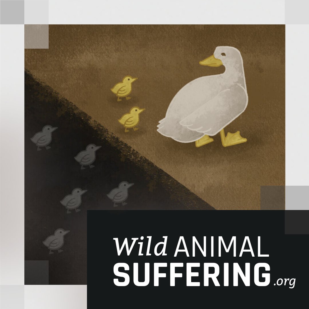 Animal Ethics on Twitter: Animal Ethics on Twitter: