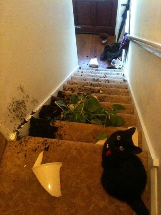 Laura Willis tweet media