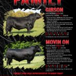 Photo by Select Sires Beef (@SelectSiresBeef)