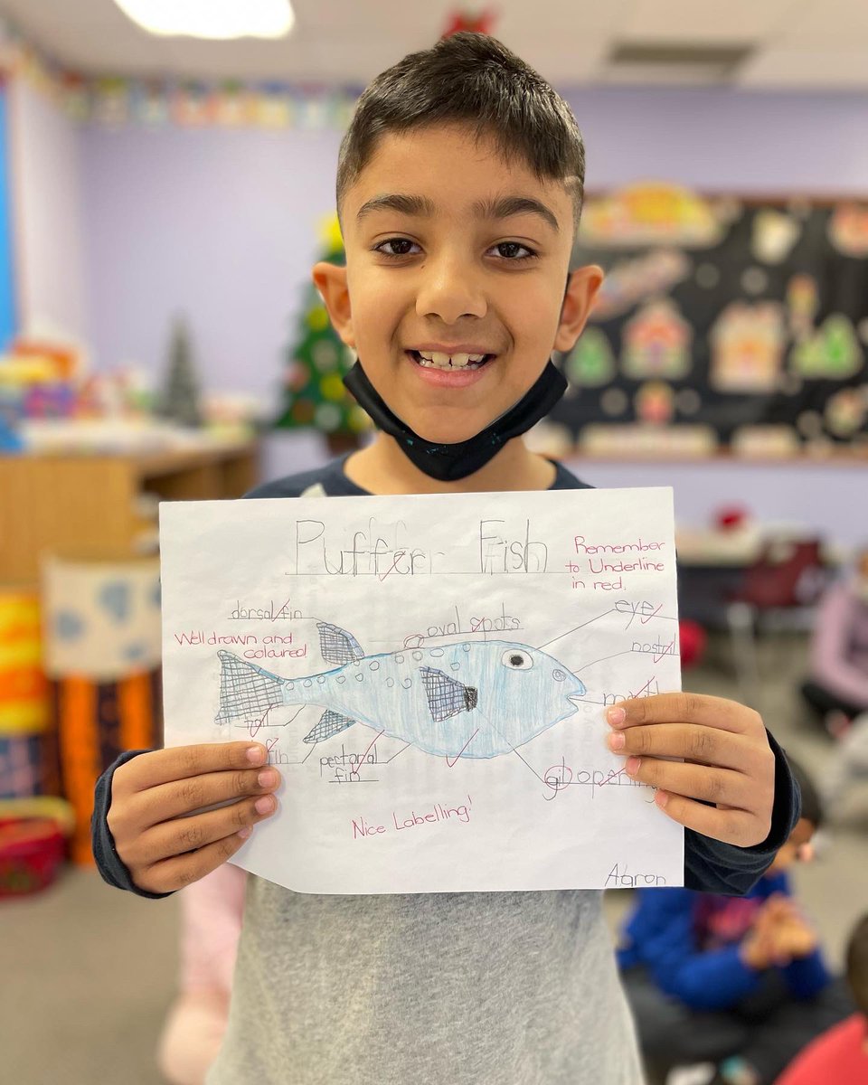 KinderKollegePS's tweet photo. Aaron presented his Desk Pet Report today! He researched and learned a great deal about the puffer fish, 🐡 which he shared with classmates and teachers! Well done Aaron! #pufferfish #pufferfish🐡 #fish #researchreport #pufferfishofinstagram #pufferfishfun #pufferfish🐡 #kkps30 https://t.co/JmvXDuK8IK