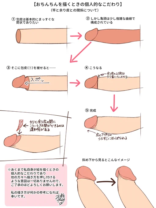 おちんちんを描く上で、一番複雑な線で構成されているであろう部分についての個人的な解釈をできるだけ簡潔にまとめてみました。
下手な説明図ですが何かの参考にしていただければ幸いです。 