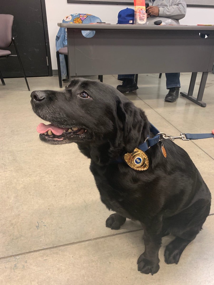 CityofWichita's tweet photo. 🐾 🎈 Happy Birthday to retired fire accelerant K9 Sporty. She turns 14 today.🎈 🐾 https://t.co/vUkTKCUKdk