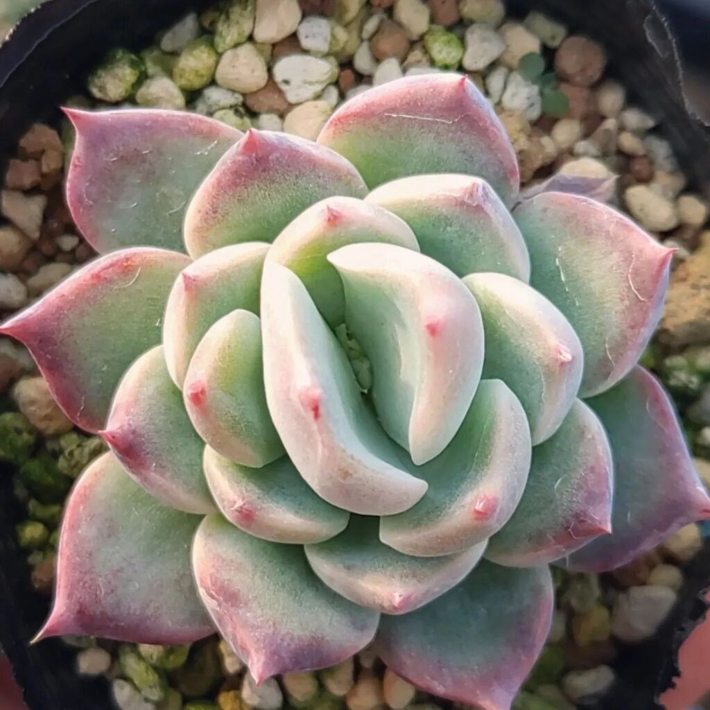 sunny spot (@HMayo1201) / Posts / X