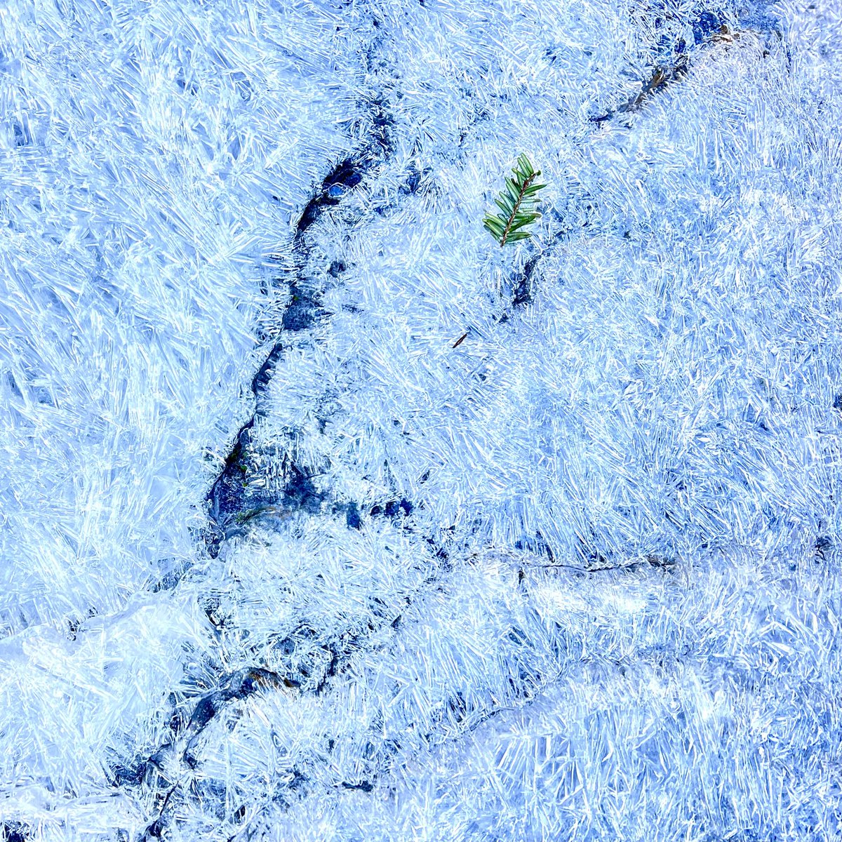 Record breaking ice and cold on the Cumberland Plateau in Tennessee. A trip to Ranger Creek to to photograph the beauty. #ice #rangercreek #cumberlandplateau #nature #winter #savagegulfstatepark #river